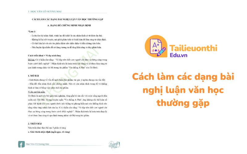 Cách làm các dạng bài nghị luận văn học thường gặp Cô Sương Mai